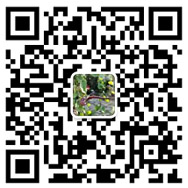 技术交流QQ群