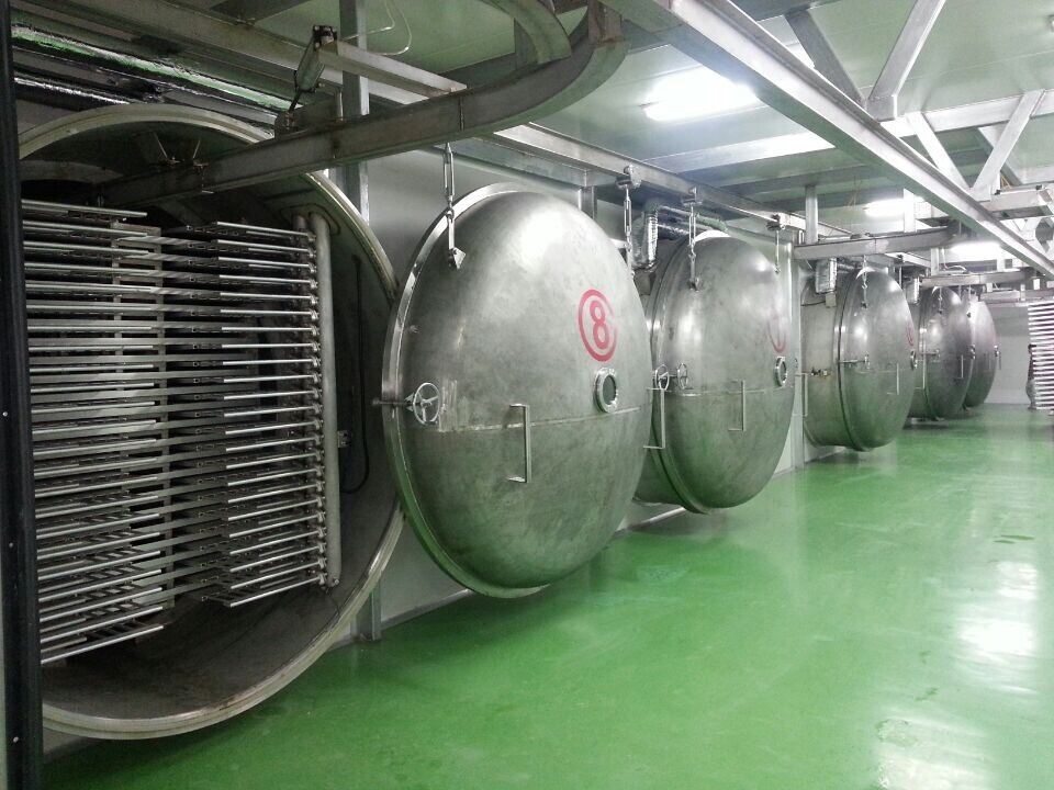山东临沂大林集团 1200㎡（6套*200㎡）冻干机